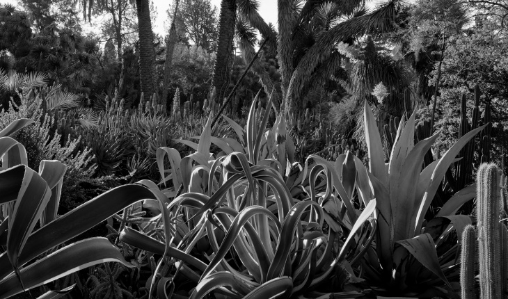 Scott McFarland, Empire (2005), inkjet print, 66 x 76.2cm.