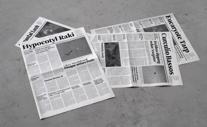 Mark Manders, Floor with Fake Newspapers, 2005 – ongoing